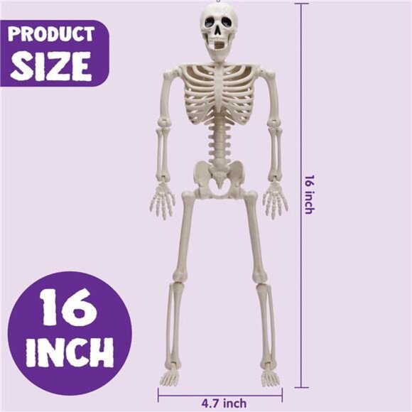 5 PCS Posable Halloween 16 Inches Full Body Posable Joints Hanging Skeletons - Picture 3 of 7